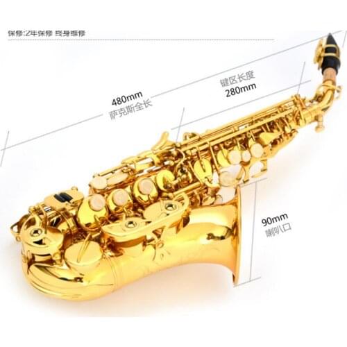Professional Musical Instrument Curved Soprano Saxophone B-flat Brass Lacquered Gold With Case Free Shipping