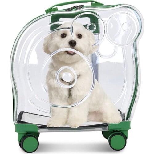 LISM Dog Carrying Bags