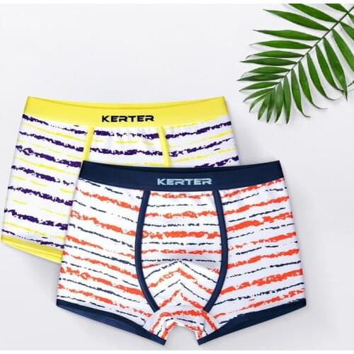 2pcs/lot Boys Soft Cotton Underpants Kids Boys Underwear Childrens Shorts Panties For Baby Boy Teenager Underpants 4-14T
