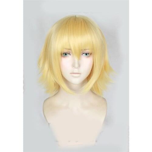 1pcs Joan of Arc Heat Resistant Synthetic Hair Anime FGO Fate/Grand Order Wig Cosplay Costume Decor Prop for Women Girl