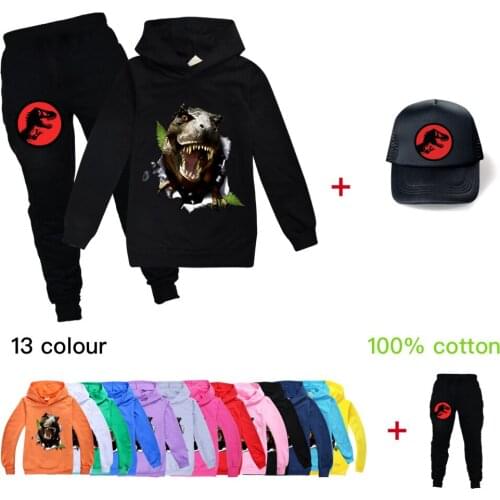 Dinosaur Boys Clothes Sets Cartoon Print Dinosaur Simulation Children Costume Suits Cotton Hoodie+Pants+Cap 3Pcs Kids Sweatshirt