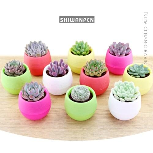 Mini Flower Pots Colourful Round Plastic Plant Flower Pot Garden Home Office Decor Plastic Nursery Pots Succulents Pot Hot Sales