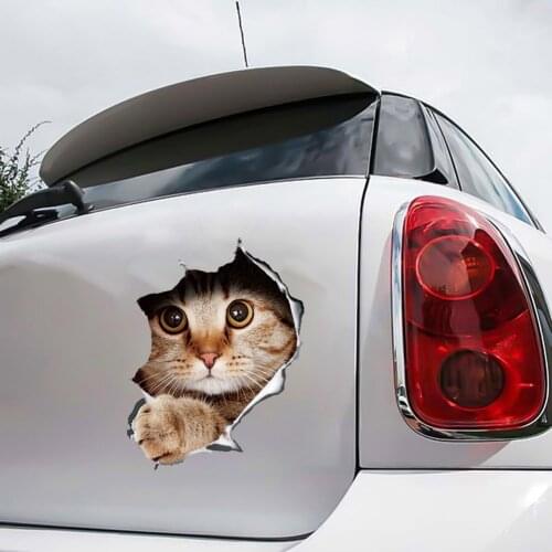 Cat Car Stickers Funny Wrap Cute For Cars Window Body Decoration to cover scratches Motorcycle Decal Stickers