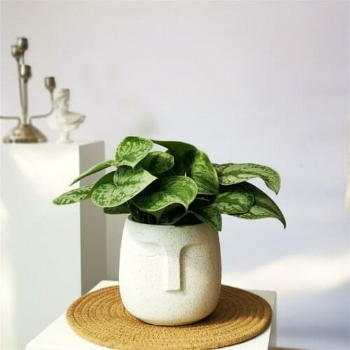PRZY Creative Human Face Planter Mold Concrete Flower Pot Making Moulds Cement Planter Molds DIY Silicone Plaster Resin Craft
