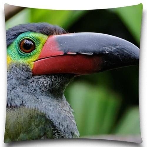 Big mouth bird 2D print creative Pillow case Square cotton polyester cushion cover 5 size 9 style