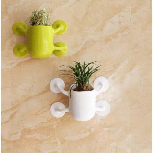 Small Fleshy Flower Pot Creative Glass Wall Flowerpot Simple Suction Cup Flower Pot Geometric Terrarium Planters Pots