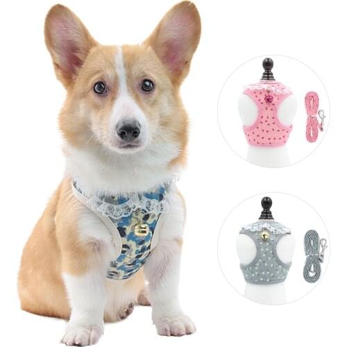 Pet Dog Harness Set Cute Lace Puppy Soft Breathable Mesh Chest Strap With Bells Traction Rope for Small Medium Pet Vest
