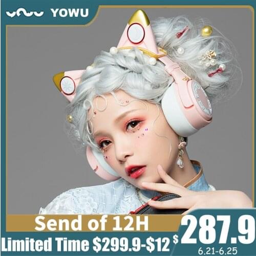 YOWU Stage Sound Equipment