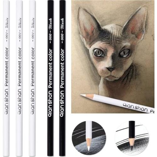 White black oily pencil art hand painting brush high light student professional hand-painted white pen sketch pencil