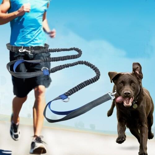 New Reflective Leash Traction Rope Pet Dog Running Belt Elastic Hands Freely Jogging Pull Dog Leash Metal D-ring Leashes XQ0003