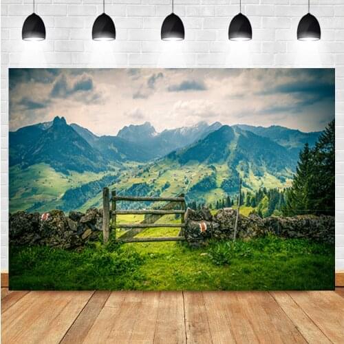 Laeacco Rural Natural Landscape Photophone Mountains Grassland Photography Backgrounds Portrait Photo Backdrops Photozone Props
