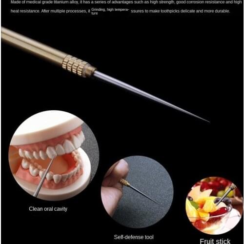 Titanium Outdoor Edc Portable Multifunctional Toothpick Bottle Fruit Fork Camping Tool Toothpick Tube Stronger Than Dental Floss