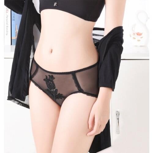 New Sexy Sheer Mesh Embroidery Panties Womens Underwear Transparent Sheer Mesh Briefs Knickers Soft Sheer Brief Womens Panty