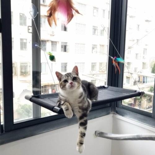 Cat Hammock Sucker Hanging Nest To Bask In The Sun Hammock Cat Pet Supplies