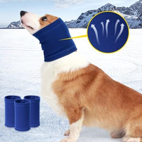 GUDPETZ Hats For Dogs