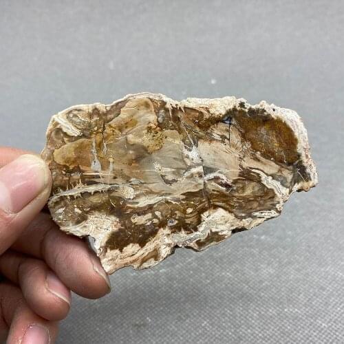 Natural wooded jade fossil slice polished jade