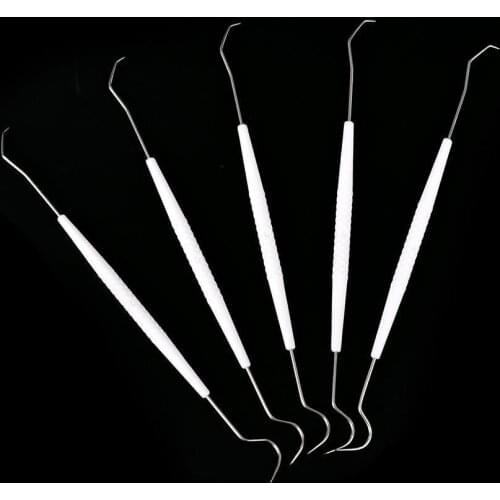 10PC One-time Temporary Stainless Steel Double Hook Tooth Dental Explorer Dentalist Probe Materials Dentist Tool Set