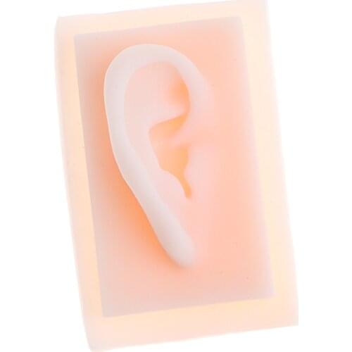 Soft Silicone Ear Acupuncture Practice Model, Anatomy Toy Lab Supplies