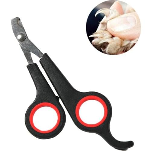 Pet Nail Claw Grooming Scissors Clippers For Dog Cat Bird Toys Gerbil Rabbit Ferret Small Animals Grooming Supplies