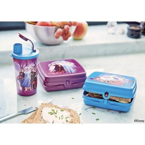 Tupperware Profits Country Cup Drinker and Sandwich Box Set
