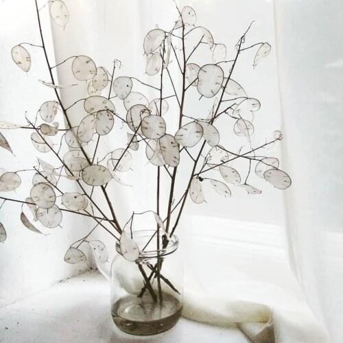 Silver Fan Leaf Natural Dried Flower Decorative Floor Ornaments Vase Nordic