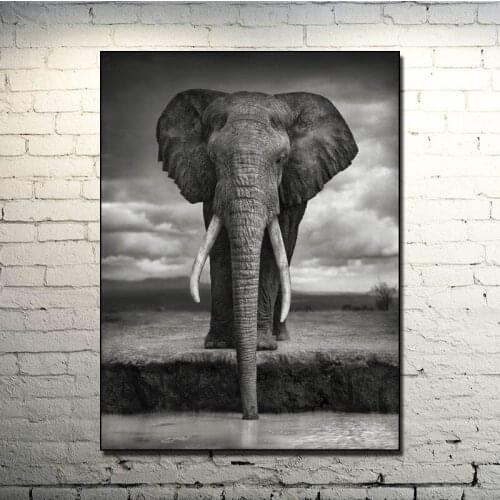Wild Animals Elephant Art Silk Poster Print 13x18 24x32 inch Nature Picture for Kids Living Room Wall Decor 020