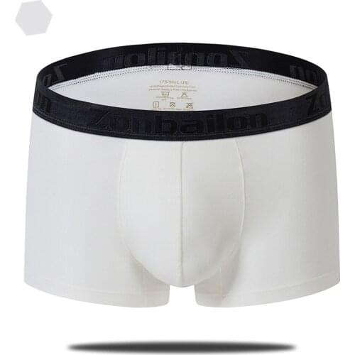 Homme Casual High Quality Bamboo Boxershorts Mens Clothing boxers Flex Waistband Bodysuit Trunks