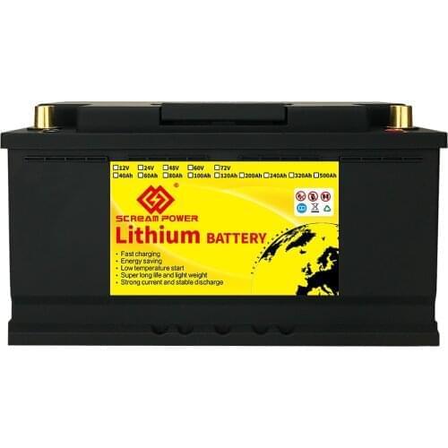 LiFePO4 12V 24V 100Ah 120Ah 160Ah Storage Battery High Power With BMS For RV Campers Scooter Solar Energy Reserve Golf Cart