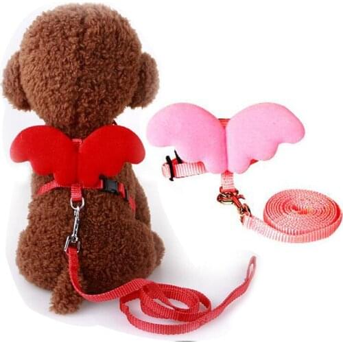 Luxury Angel Wings Dog Harness and Leash Set Design Nylon Chest Strap Lead Leashes For Small Dogs Walking Jogging Harness 20E
