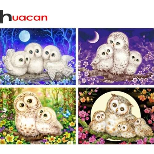 Huacan 5D Diamond Painting New Arrivals Owl Diamond Mosaic Embroidery Animals Picture Of Rhinestones Home Decoration