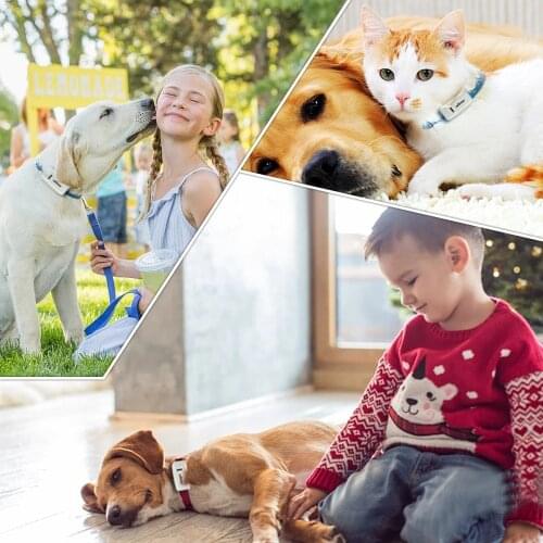 Dog GPS Tracker Waterproof IP 65 Geo Fence 400 Hours Standby Mini GPS Locator For Dog GPS For Cat Collar Voice Monitor FREE APP