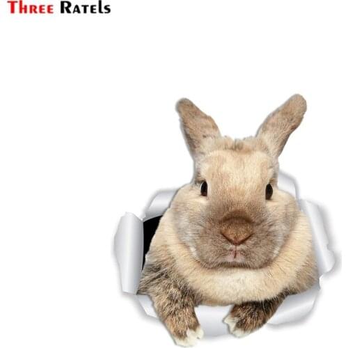 Three Ratels FTC-1052 Rascally Rabbit Wall DecalsBunny Toilet Sticker 3D Cat Car Window and Bumper