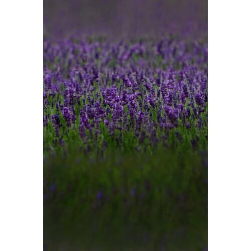 VinylBDS 5X7FT Wedding Photography Background Mini Baby Child Purple Lavender Backdrop Newborn Photos