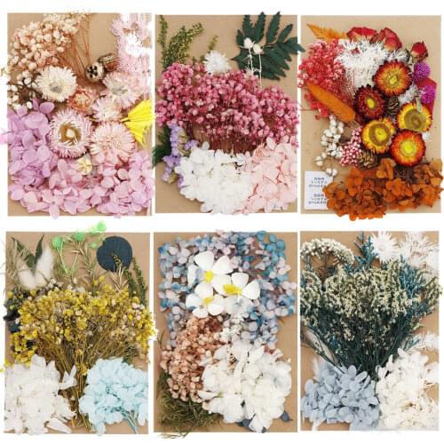 DIY Dried Flowers Resin Mold Fillings UV Expoxy Real Flower Nail Art Home Decor Handicraft Casting Mold Making Tools Dry Plants