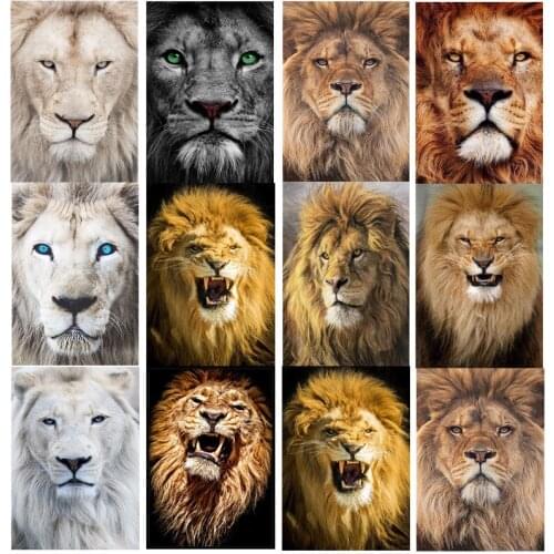DIY 5d Diamond Painting Animal Lion Diamond Embroidery Full Round Square Drill Cross Stitch Kits Home Decor