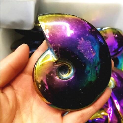 6-8CM Big size madagascar fossils iridescent ammonite Electroplating aura natural stones and minerals