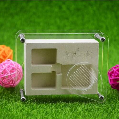 Small Ant Farm Villa Acrylic Plaster Nest Small Community Mini Ant Nest Insect Supplies