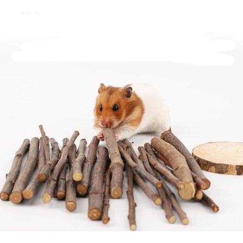 100g Sweet Apple tree Stick Branch Hamsters Chinchillas Squirrel Rabbit Parrot Rat Guinea Pig Molar Chew Snacks Protect Teeth