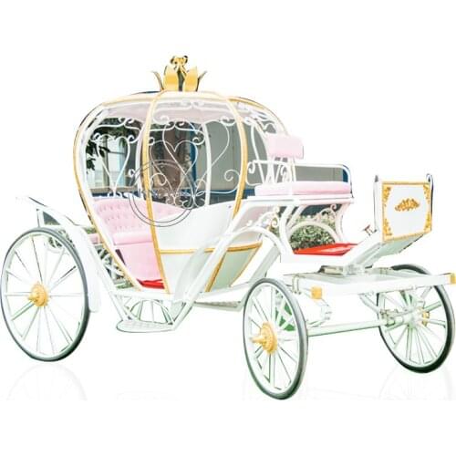 Royal Horse Carriage with Hood Pumpkin Style Wedding Cinderella Cart Mini Horse Drawn Carriages Manufacturer
