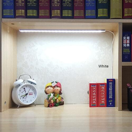 Rybakov Desk Lamp