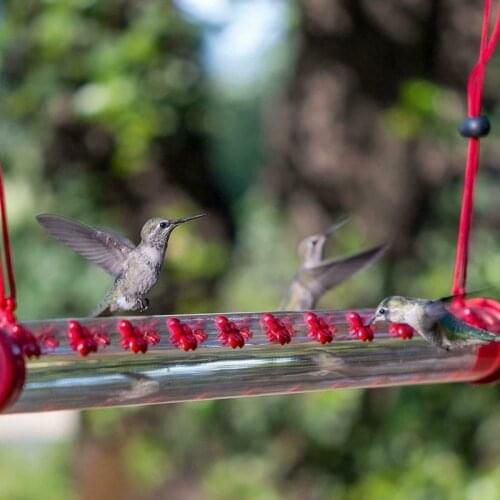 2021 Hummingbird Feeder With Hole Birds Feeding Transparent Pipe Easy To Use Household Garden Feeding Supplies 40cm Pet Product