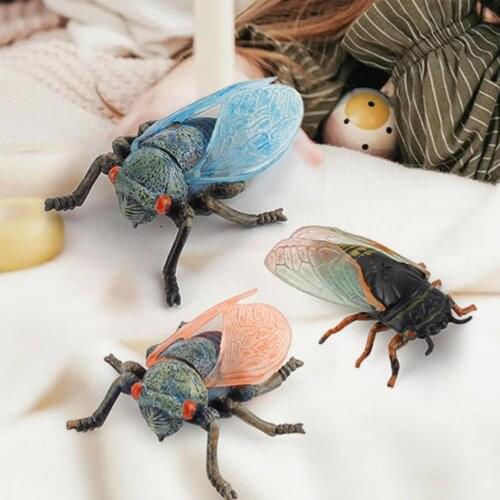 High Simulated Cicadidae Model Novel Educational Vivid Appearance Cicada Growth Figurine Model for Child