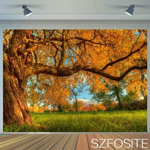Autumn Tree Deciduous Grass Photography Backdrop Family Room Decoration Photo Landscape Picture Children Party Vinyl Background