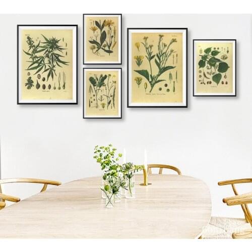 Medicinal Plants Encyclopedia Educational Picture Canvas Painting Vintage Botany Prints Mustard Poster Kitchen Wall Decor