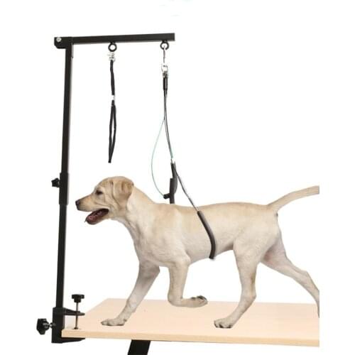 Pets Grooming Foldable Arm Clamp Stainless Steel Adjustable Loop With Sling Rope Adjustable Support Dog Cat Holder For Bath Desk