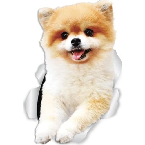 A0529#13cm/17cm Removable Decal Funny Pomeranian Dogs Car Sticker Waterproof Accessories on Bumper Rear Window