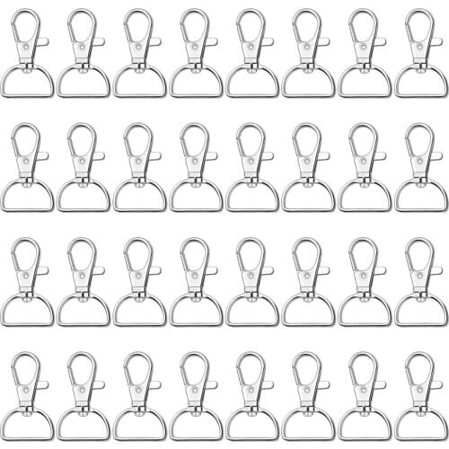 Key Chain Clip Hook, Anezus D Ring Clip Keychain Lanyard Swivel Snap Hooks Clip on Key Ring for Crafts and Purse Hardware