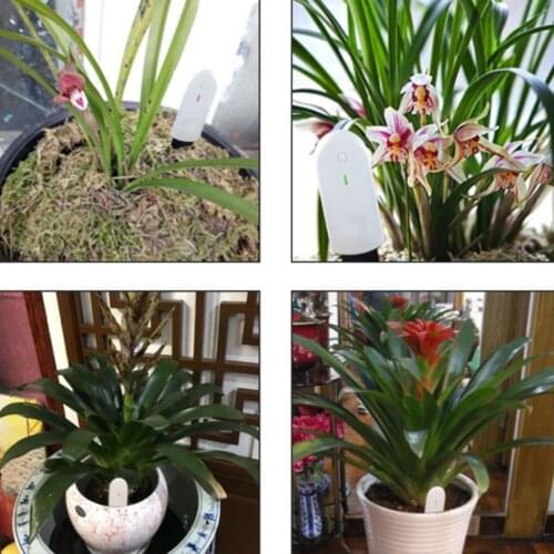 Moisture Tester Humidimetre Meter Detector Digital Flowers Plants Detector Soil-moisture Hygrometer Gardening Detector Tools