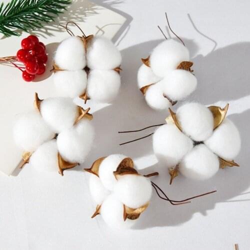 5/10pcs Dried Natural Cotton Florist Supplies Artificial Plants Wedding Flowers Decoration Wreaths Christmas Tree Scarpbook Deco