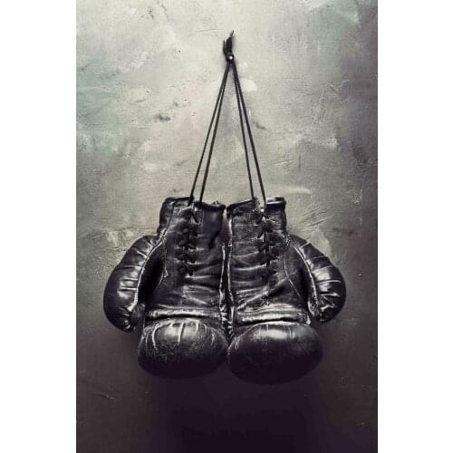 Art silk or canvas boxing sport black gloves poster print living room wall room and gym decoration picture 12x18 24x36 inches